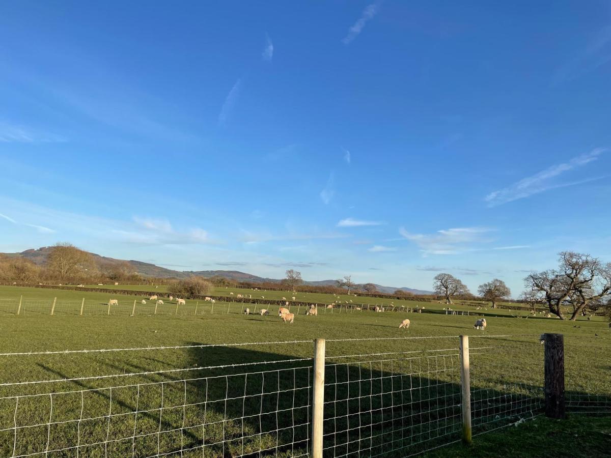 Abbey Farm Luxury Glamping Hotel Rhuddlan Exterior foto