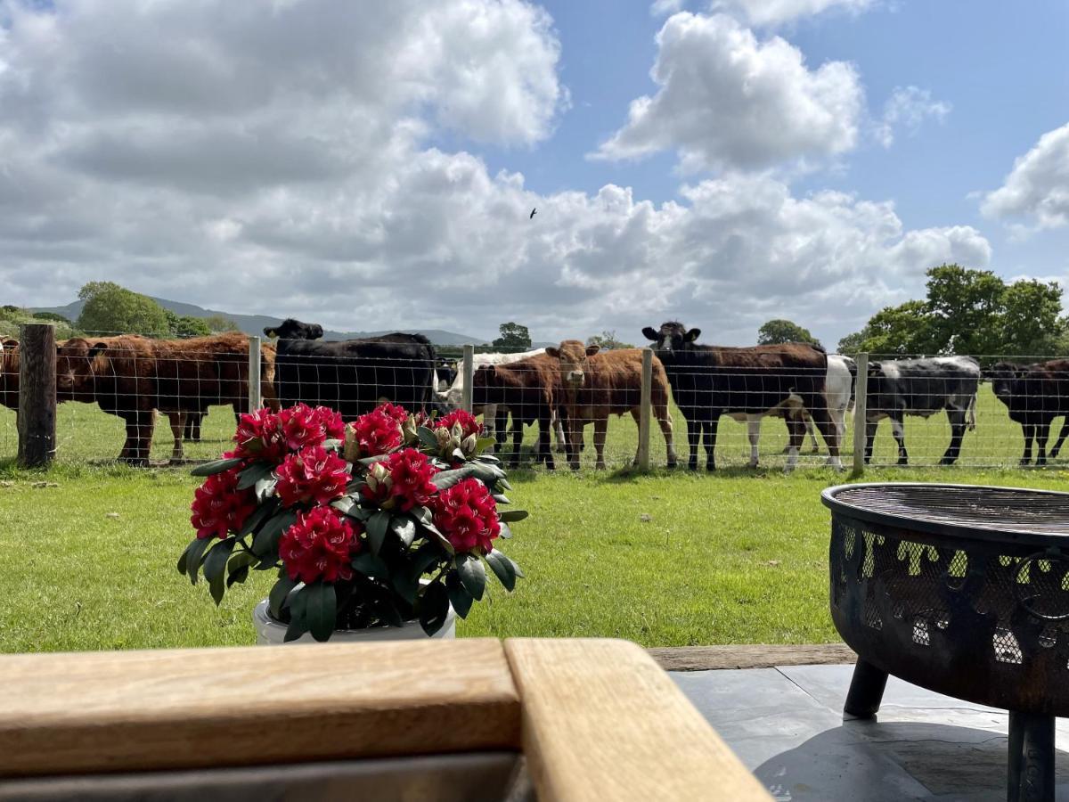 Abbey Farm Luxury Glamping Hotel Rhuddlan Exterior foto